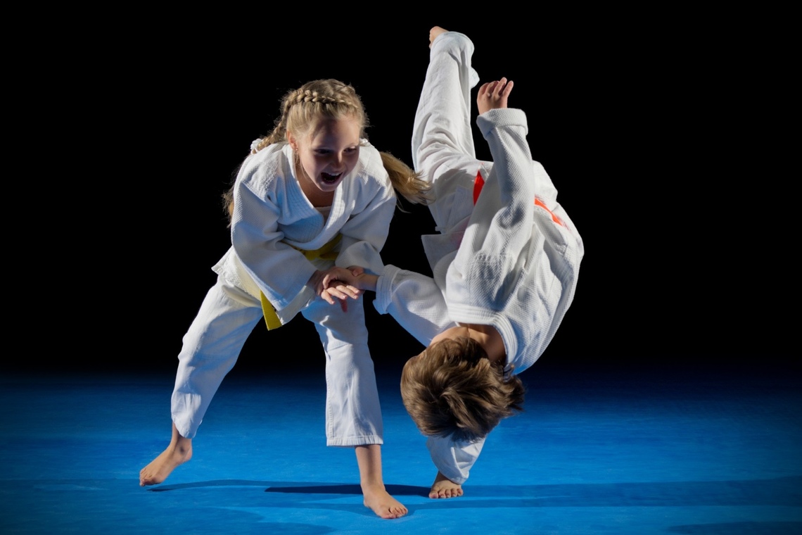 images/banners/Aikido.jpg